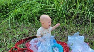 Selling vegetables is the daily living of mother and daughter || Ly Tieu Cu