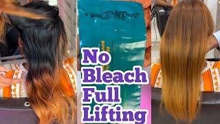 Without Prilightning Color Blend in High Lifting Shade || Max Blend Shade || Salonfact