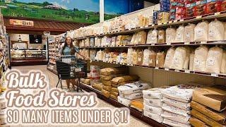 Hidden Secrets Of Bulk Food Stores | Items Under $1 | Budget Shop With Me Grocery Haul