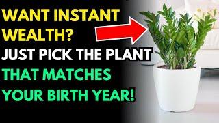 12 Chinese Zodiac Plants That Boost Energy And May Bring Jackpot Luck & Overflowing Wealth!