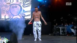 Die Antwoord - Enter the Ninja , Pukkelpop 2014, procam