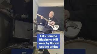 planning a 10-month #tour! follow https://www.songkick.com/artists/10240566-bobcat-one-man-band