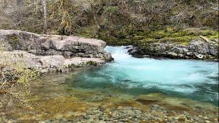 Camping at Bigfoot Hot Spot Sunset Falls | Wes Germer Location | Sasquatch Chronicles