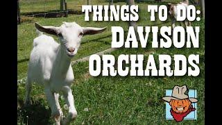 Things to Do at Davison Orchards