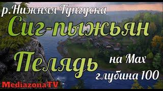 Русская Рыбалка 4 р Нижняя Тунгуска Пелядь Сиг пыжьян на Мах 19 07 23