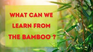 Atomy success| bamboo story| never give up!