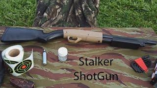 Карабин пневматический Stalker ShotGun