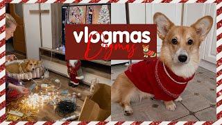 VLOGMAS: Украшаем квартиру с Мэгги, Новогодний свитер для собак