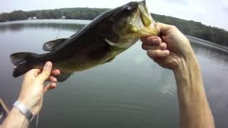 Catching some on the Keitech - NJ Bass - Aug 3, 2012