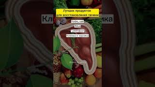 Лучших продуктов для восстановления печени