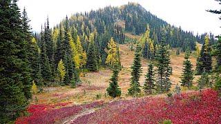 Windy Pass, Pasayten Wilderness (Hiking Trails in Washington)