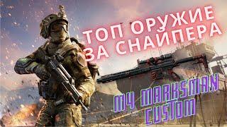 M4 Marksman Custom "Полюс"