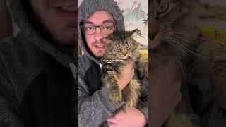 My cat has no concept of personal space…