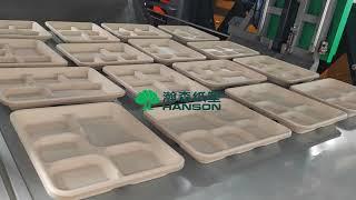 Hanson tableware package machine five grid plate production video