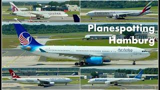 Planespotting Hamburg (HAM) with A330s, B787s & B777 | July 2024