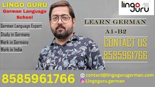 What is LINGO GURU? What services LINGO GURU offers?