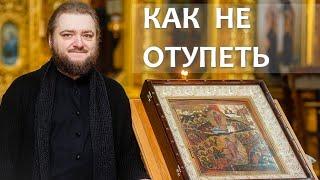 КАК НЕ ОТУПЕТЬ. Отец Савва (Мажуко)