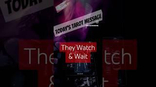 They Watch & Wait...