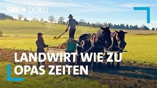 Joachims Experiment - Landwirtschaft wie vor 100 Jahren | SWR Doku