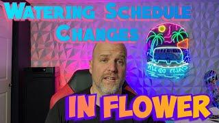 Watering Schedule Change in Flower