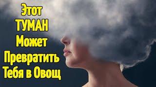 Как вернуть ясность ума и ускорить работу мозга? Как убрать туман в голове?