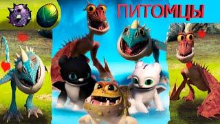 Питомцы драконыКак приручить драконаDRAGON PETSHOW TO TRAIN YOUR DRAGON