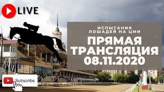 08.11.2020. Прямая трансляция с ЦМИ. Тринадцать заездов.