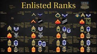 US Military (All Branches) ENLISTED Ranks Explained