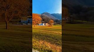 Beauty Of Italy |Tilawat E Quran |Travel |Quran Urdu Translation #shortsfeed #italylove #nature