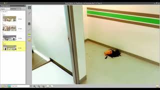 Trimble RealWorks Forensics: Sampling and Intensifying Scans