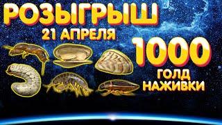  Розыгрыш 1000 голд наживки  21 апреля  Русская Рыбалка 4