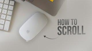 How to Scroll with Magic Mouse 2 (tutorial)