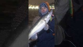 Мечтал поймать эту рыбку #рыбалка #рыбак #fishing #судак #первыйлед #зимняярыбалка #поклевка