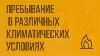 Пребывание человека в различных климатических условиях. Видеоурок по ОБЖ 6 класс