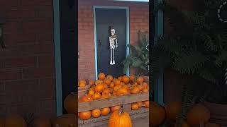 Ты уже нашел свою Тыкву || Halloween #калифорния