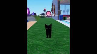 All Maine Coon Cats in Roblox Kitten Game