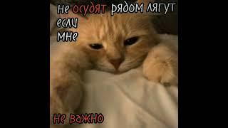 Мне скучно вот вам видео на которой чистая правда #хочувреки #актив