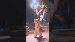 Cute Bear Dance 10 #shorts #short