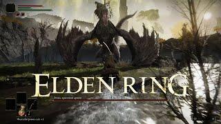 ELDEN RING | ЭГХИЛ КРЫЛАТЫЙ ДРАКОН