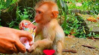 He need to drink milk & eat fruits everyday as baby Lexi, He needs love & care from mom as baby Lexi