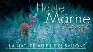 Haute-Marne Sauvage - Au fil des saisons