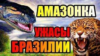 АМАЗОНКА!!! Ужасы Диких Лесов Бразилии!!! #река #бразилия