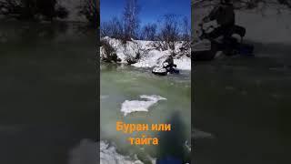 снегоход тайга или буран