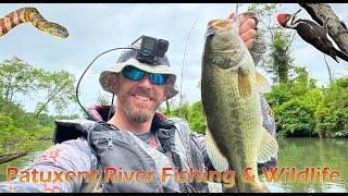 Patuxent Fishing and Wildlife by Kayak and How to Find Launches in Maryland