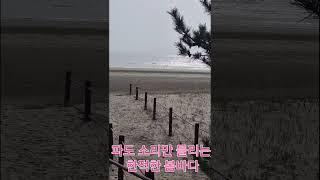 태안 걷기 좋은길#노을길#기지포해변#태안여행 #안면도여행 #태안펜션#그람피하우스
