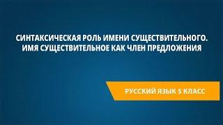 Синтаксическая роль имени существительного. Имя существительное как член предложения