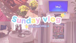 Sunday vlog - decoriamo il balcone con i fiori 