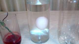 SchoolFreeware Science Video 1 - Introduction And Simple Chemical Reaction - Endothermic Reaction