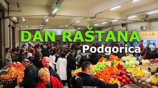 Crnom Gorom: 2. DAN RAŠTANA - Bazar, Podgorica HD