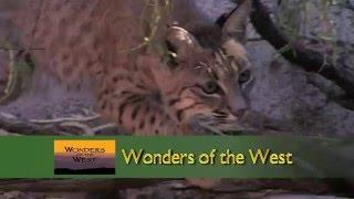 Wonders of the West 30 Second Trailer